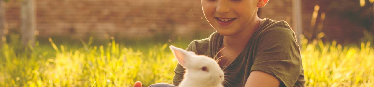 Hills Veterinary Clinic boy and rabbits