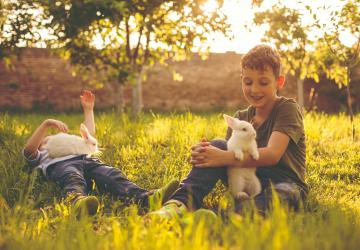 Hills Veterinary Clinic boys and rabbits