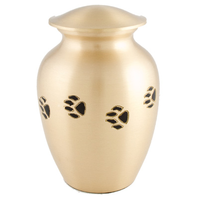 E pet urn ashes chetan bronze bkg