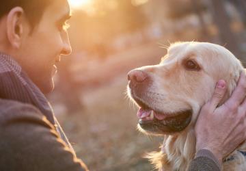 Hills Veterinary Clinic man and dog copy