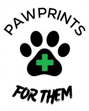 PP logo4