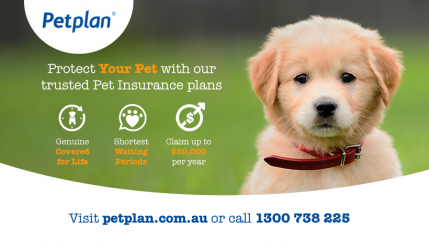 petplanpuppy