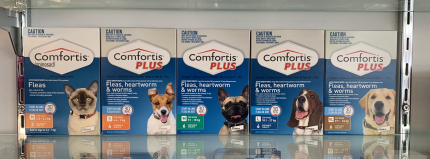 Comfortis