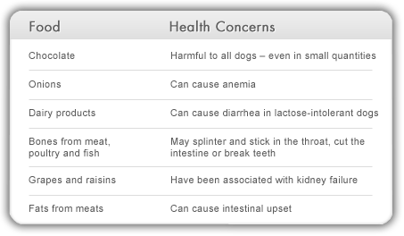 dog diet table
